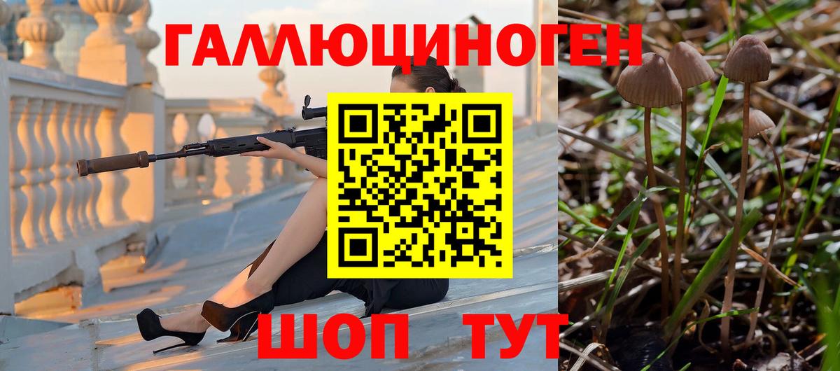 Галлюциногенные грибы Cubensis Котовск