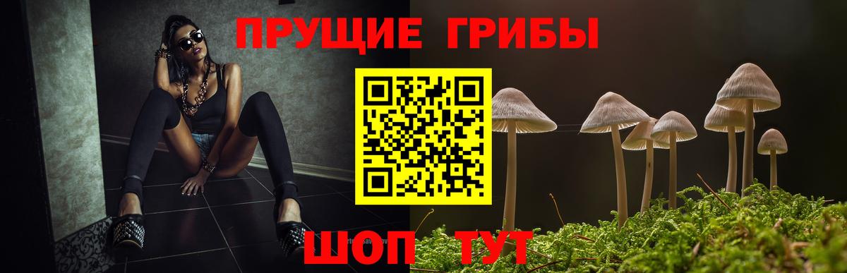 Псилоцибиновые грибы MAGIC MUSHROOMS  Вход с VPN  Котовск 